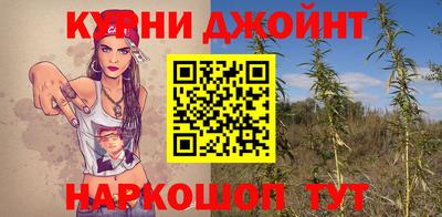 трава Будённовск