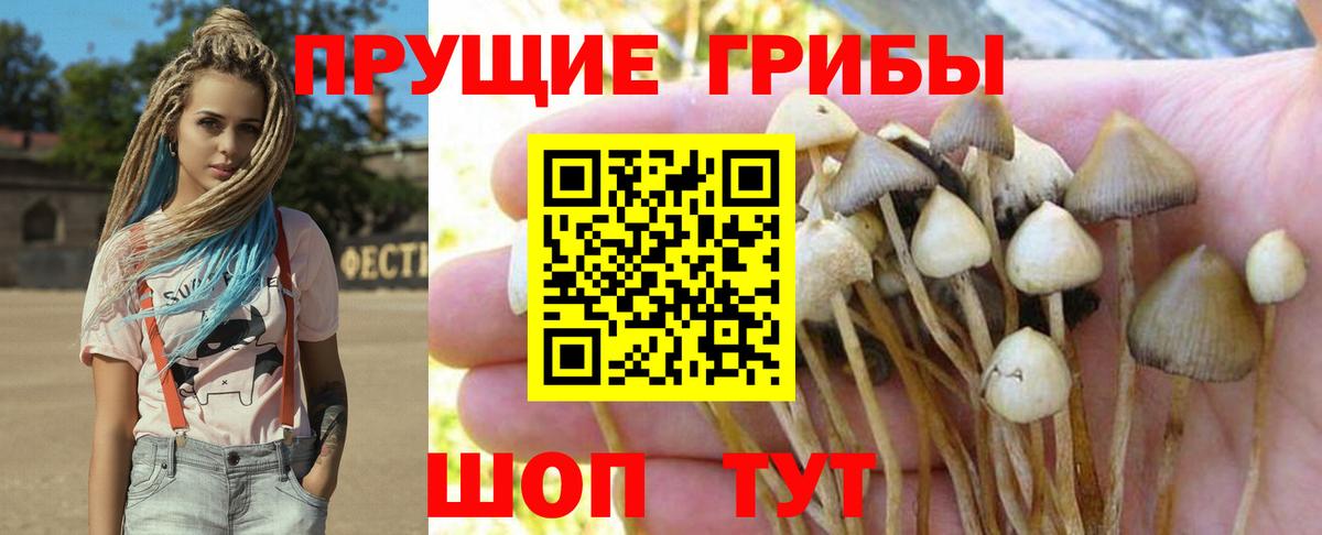Псилоцибиновые грибы MAGIC MUSHROOMS Лиски