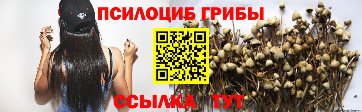 Псилоцибиновые грибы Psilocybine cubensis  продажа наркотиков  Вход с VPN  Лиски  Галлюциногенные грибы Cubensis 
